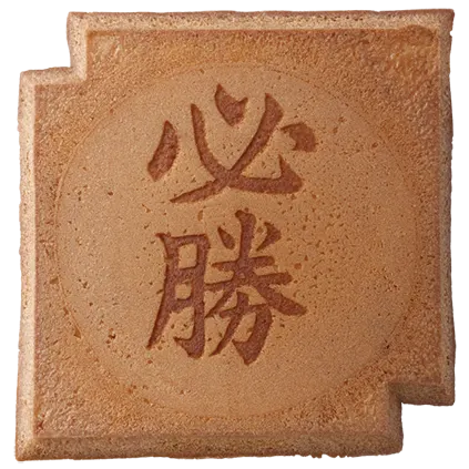 SY-205