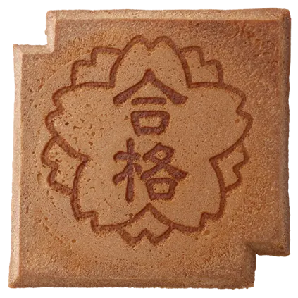 SY-206