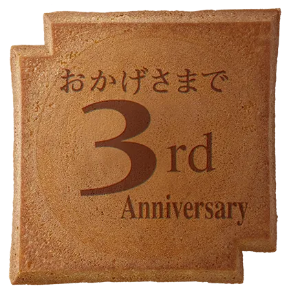 SY-300