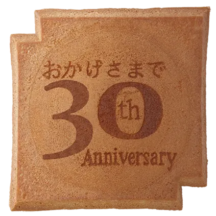 SY-306