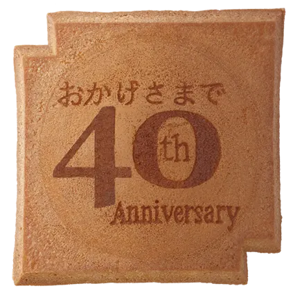 SY-308