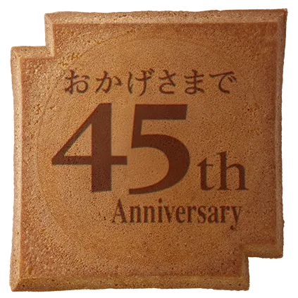 SY-309
