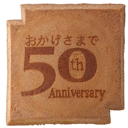 SY-310