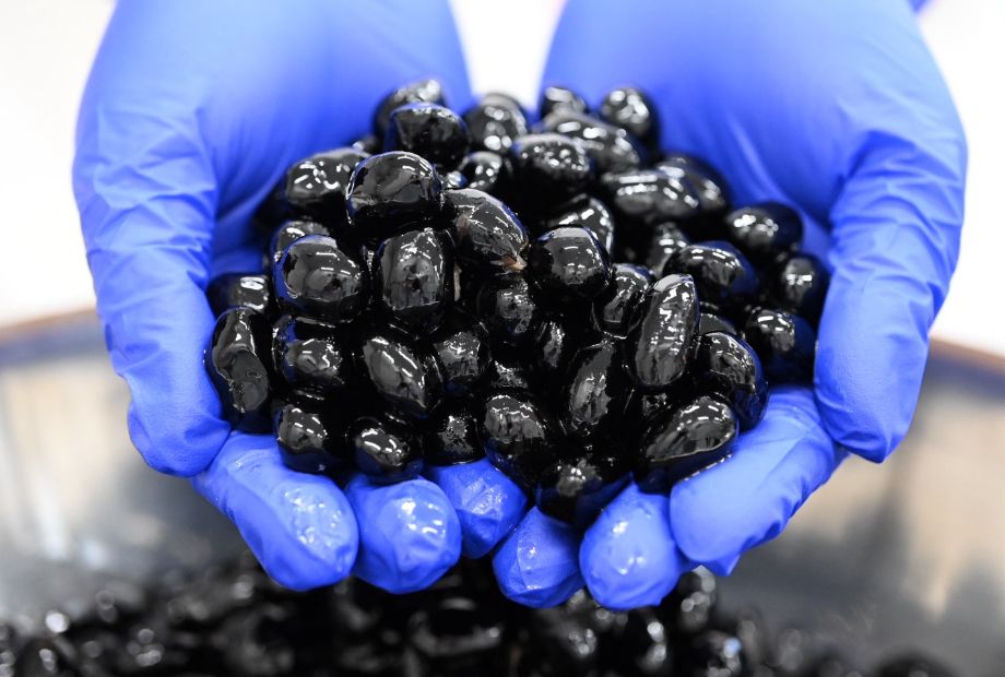 丹波黒豆きなこのイメージ写真